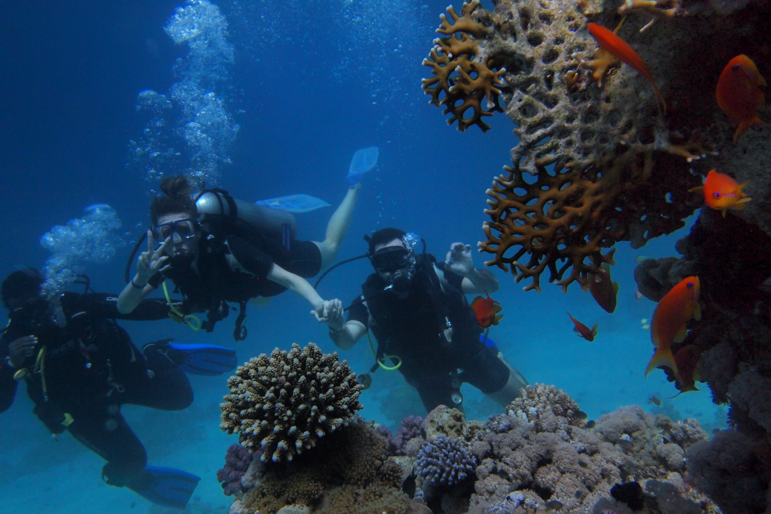 Regalar clases de buceo novios boda