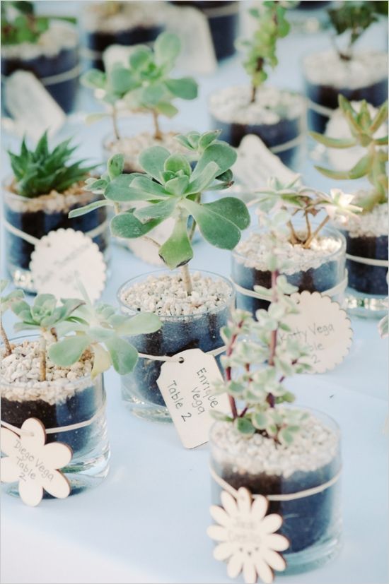 regalos de boda plantas