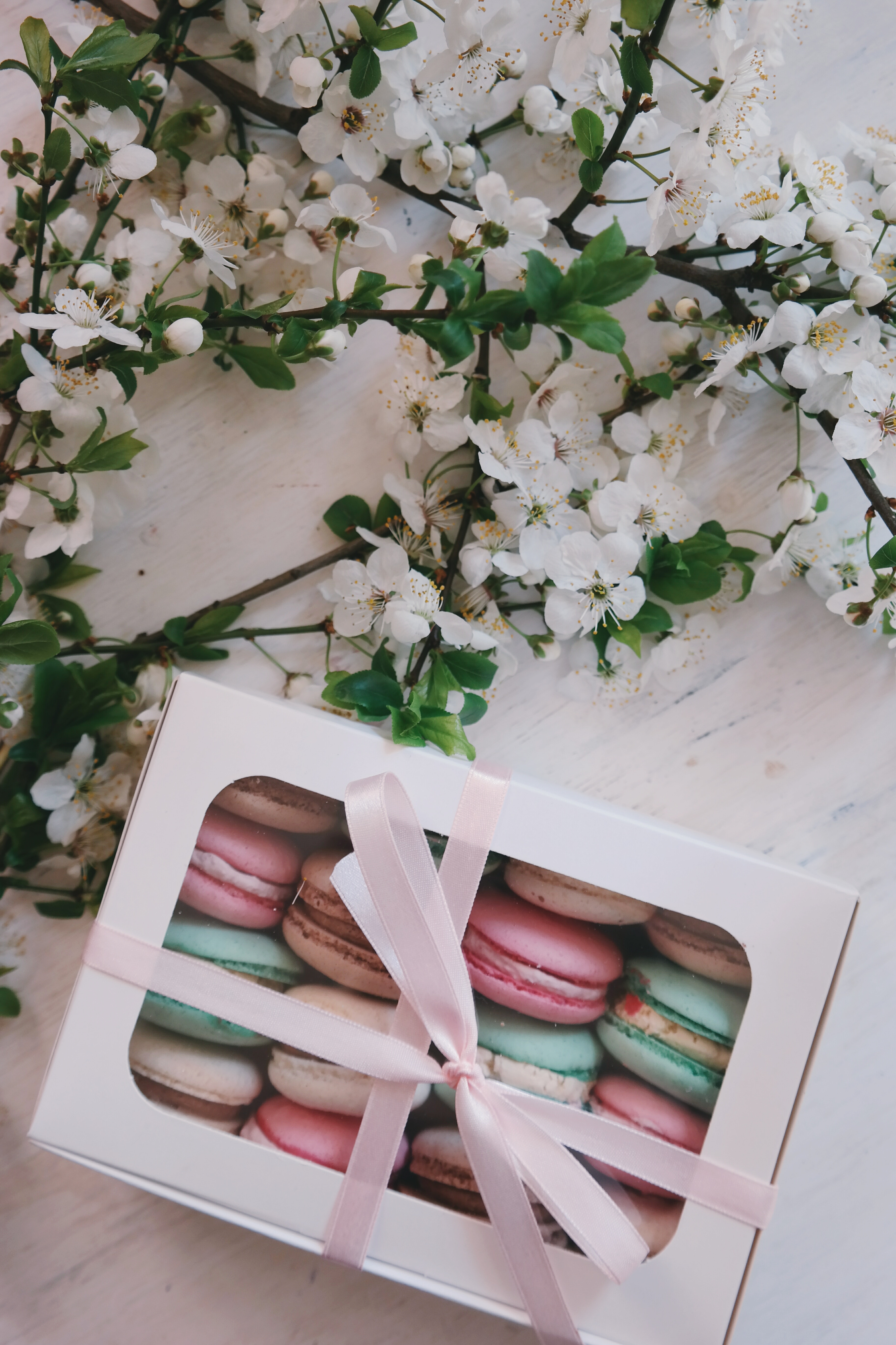 regalos para invitados caja de macarons