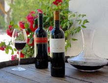 Bodegas Vicente Gandía
