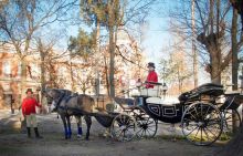 Carruajes Aranjuez