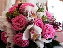 Honey Moon Events
