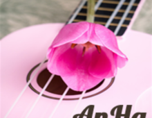 Musicales Y Eventos Anha