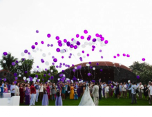 Bodas Plus Arts