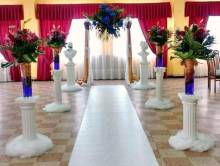 Eventos Paloma
