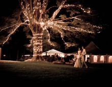 The Wedding Planner Company