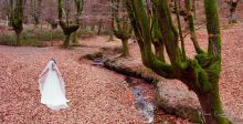 In Wedding, Servicio Integral De Bodas