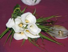 Anduriña Eventos