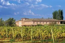 Bodegas Osborne Malpica De Tajo