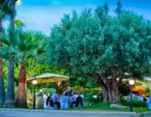 Bodegas Mendoza