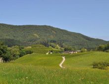 Bodega Hiruzta