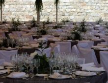 Eneldo Catering