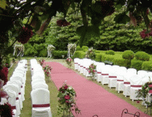 Vianda Catering