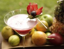 Mixology Mobile Cocktail Bar