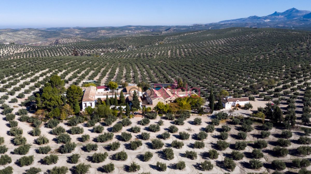 Cortijo El Madroño