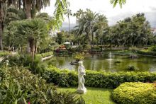 Hotel Botánico