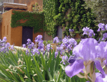 Hotel Canaleta Heras