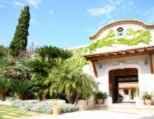 Finca Mas De Canicattí