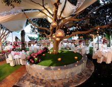 Jardín Botánico Celebraciones