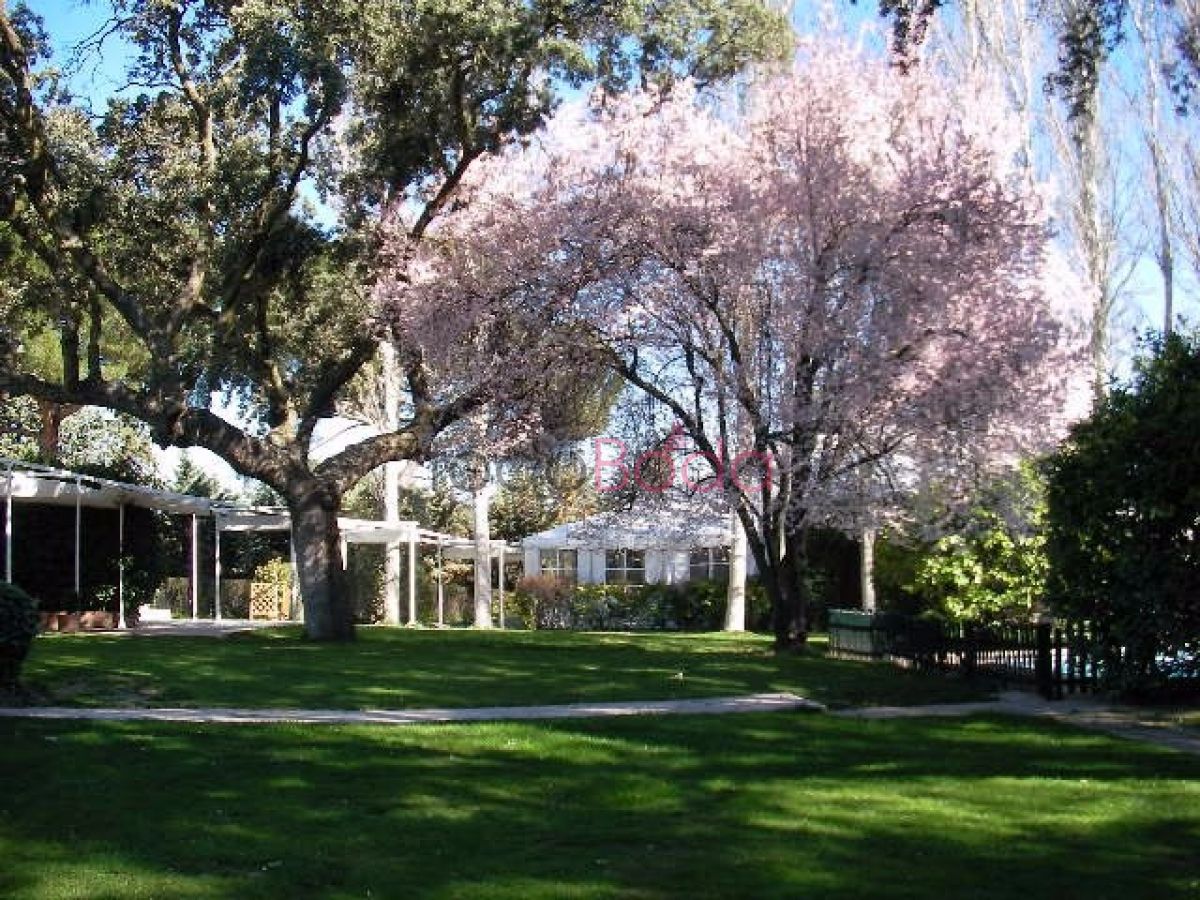 La Finca De Villanueva
