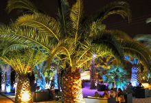 Jardín de Sal