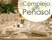 Complejo Peñasol