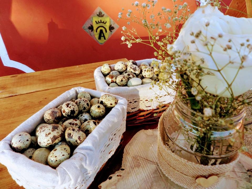 Cortijo El Alamillo | Todoboda.com