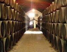 Bodegas Góngora