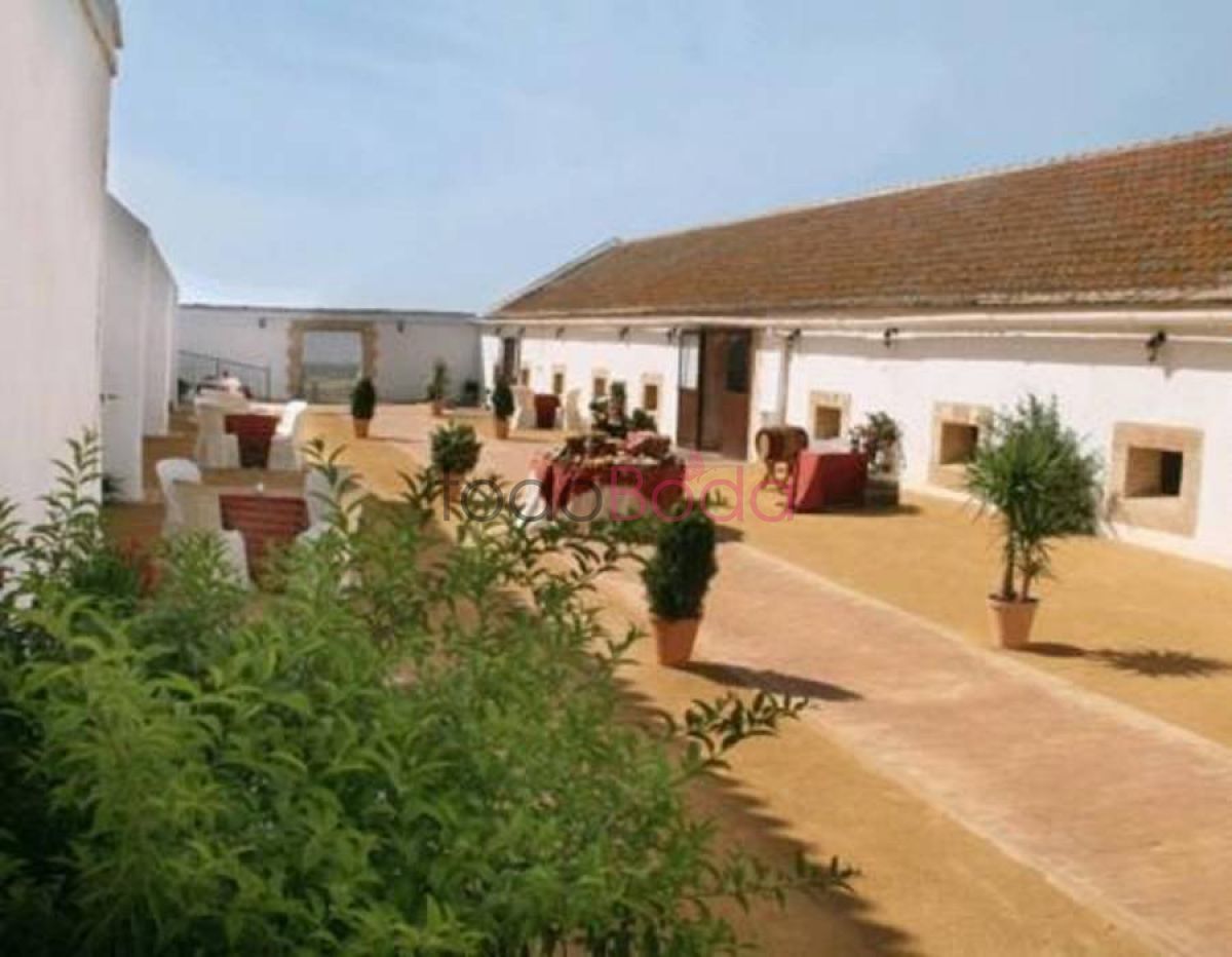 Finca Casa Alta