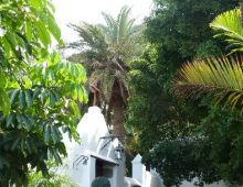 Cortijo San Ignacio Golf