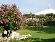 Jardines Camotal