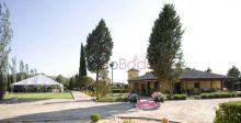 Finca Los Gallos