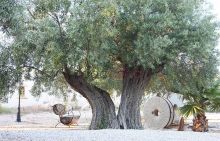 Finca Villabienvenida