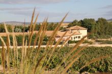 Enoturismo Mainetes