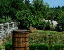 Asador Arraiz