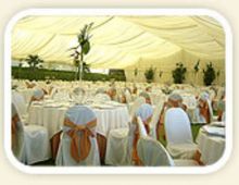 Restaurante Mesón De Alberto
