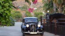 Restaurante Los Caballos