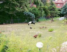 Restaurante Landatxueta
