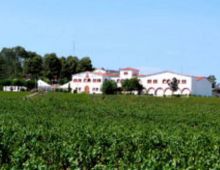 Bodegas Capita Vidal