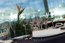 Faunia Eventos