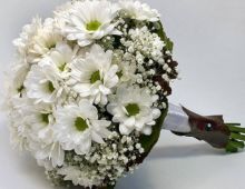 Novias Modesta