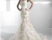 Jucami Novias