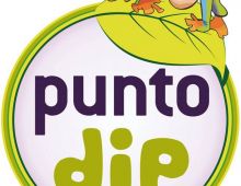 Punto Dip Ciudad Real