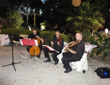 Angeli Musica