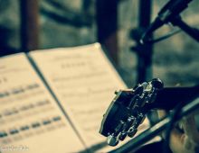 Acustica