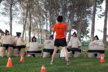 MandrÁgora GestiÓn De Actividades