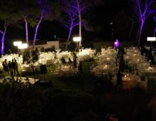 Oh Palma Espectaculos