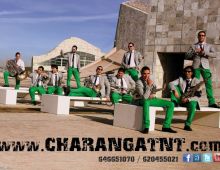 Www.charangatnt.com