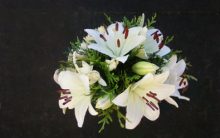 Arte Floral Ángel floristas