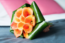 Floristería La Pagoda